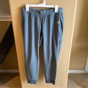 Adidas Blue Jogger Pants with Logo
